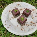 Mint Choc bites4