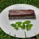 Mint Chocbar